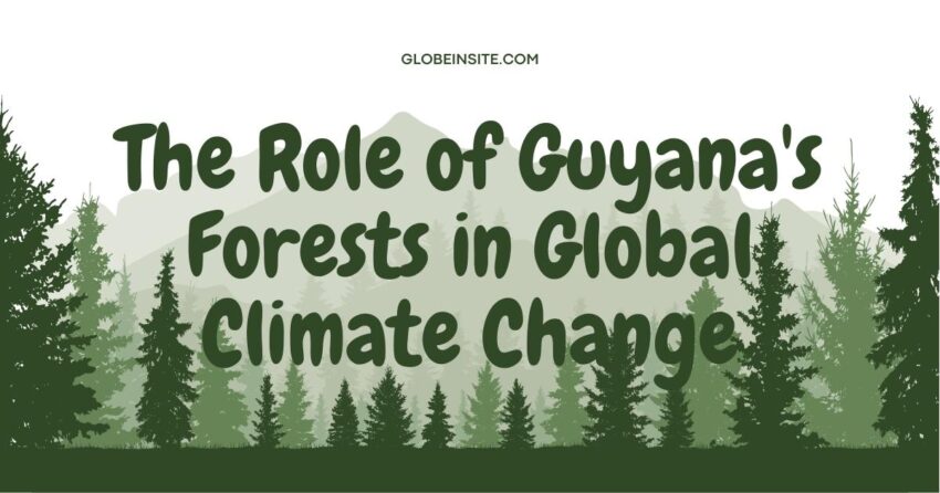 Role of Guyana's Forests in Global Climate Change